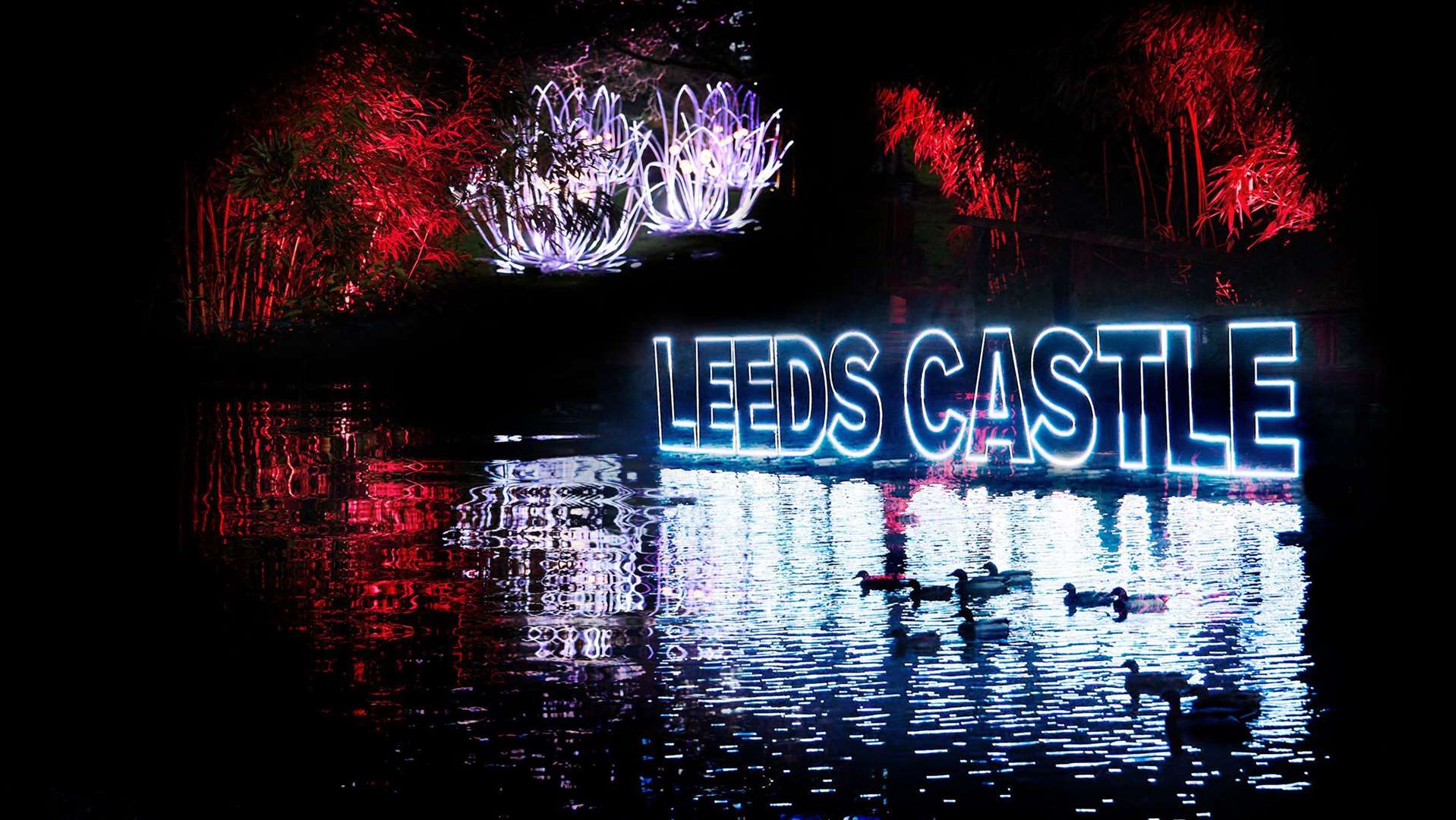 Christmas Lights at Leeds Castle. Picture: Richard Haughton