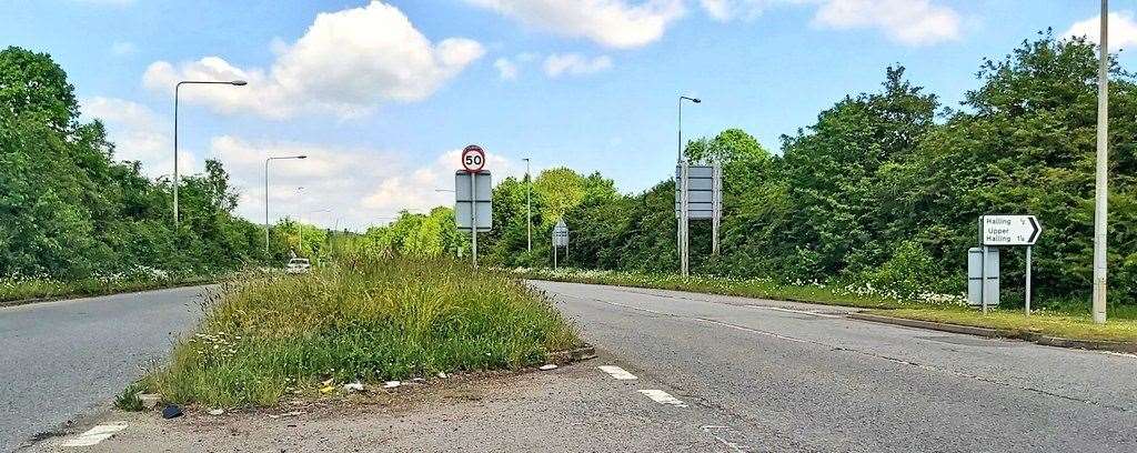 An uncut verge on the A228 Halling. Picture: @whitcombetweets (48835503)