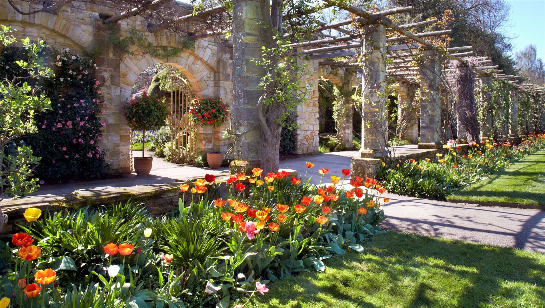 The spring flowers are in bloom at Hever Castle, attracting swarms of bees and butterflies. Picture: Hever Castle and Gardens