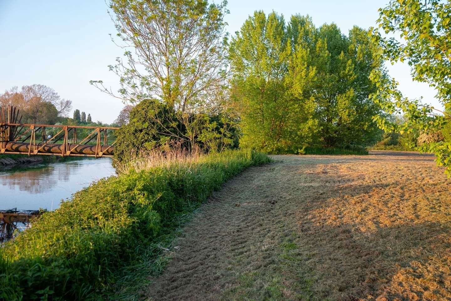 The meadow was mowed in May