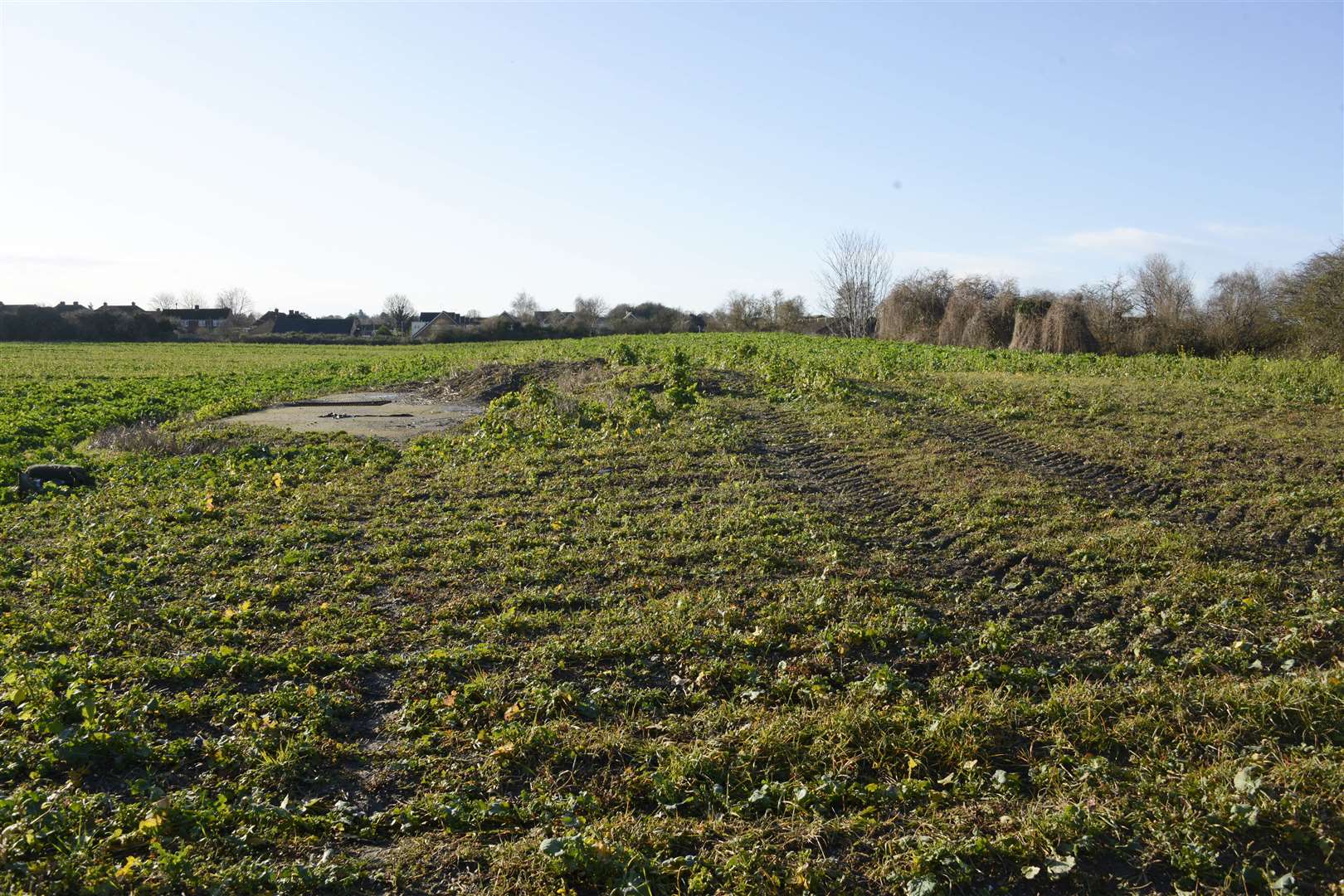 Land where 180 proposed houses could be built at Abbey Fields. Picture: Paul Amos