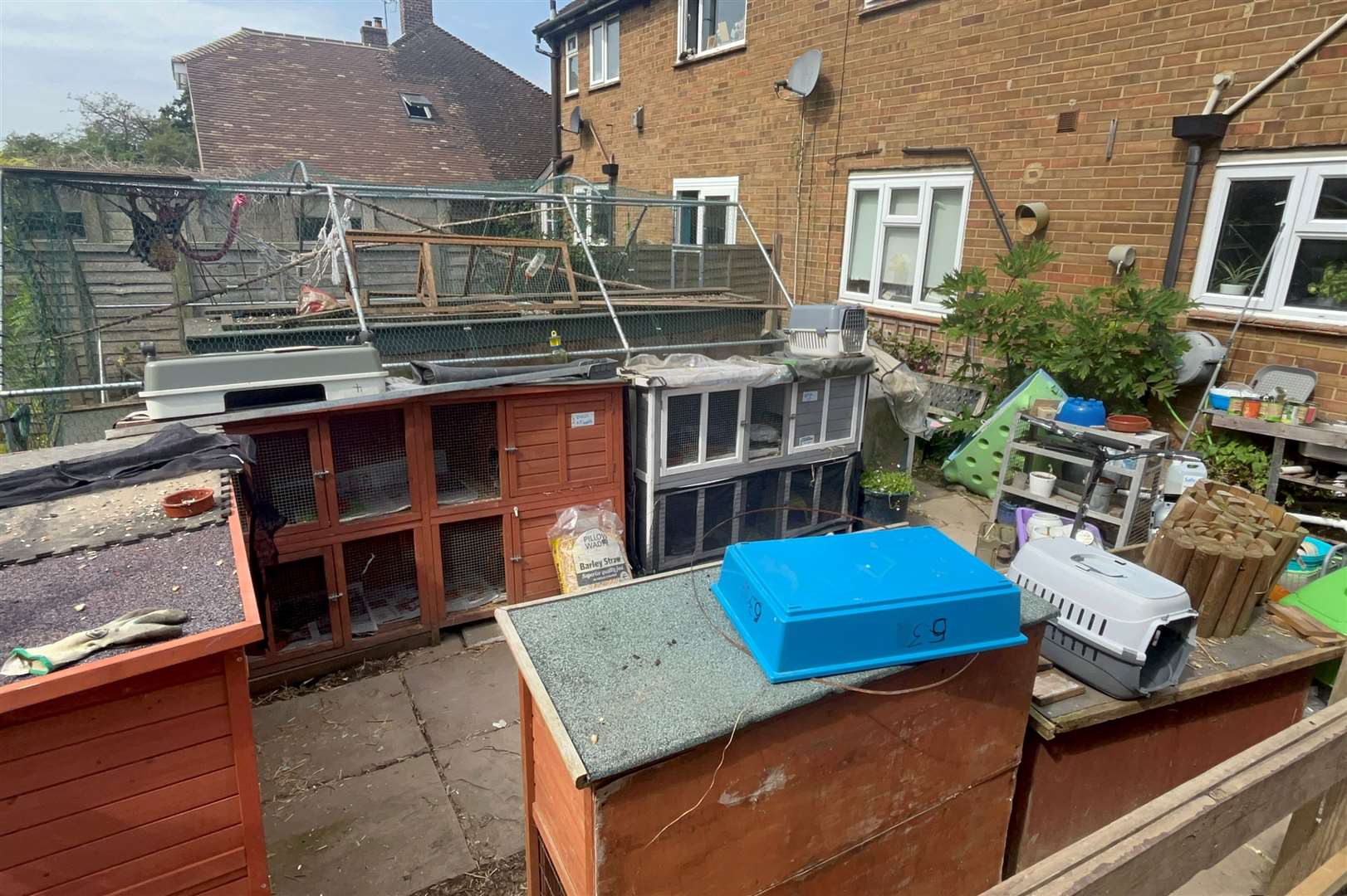 The outdoor hutches at the rescue