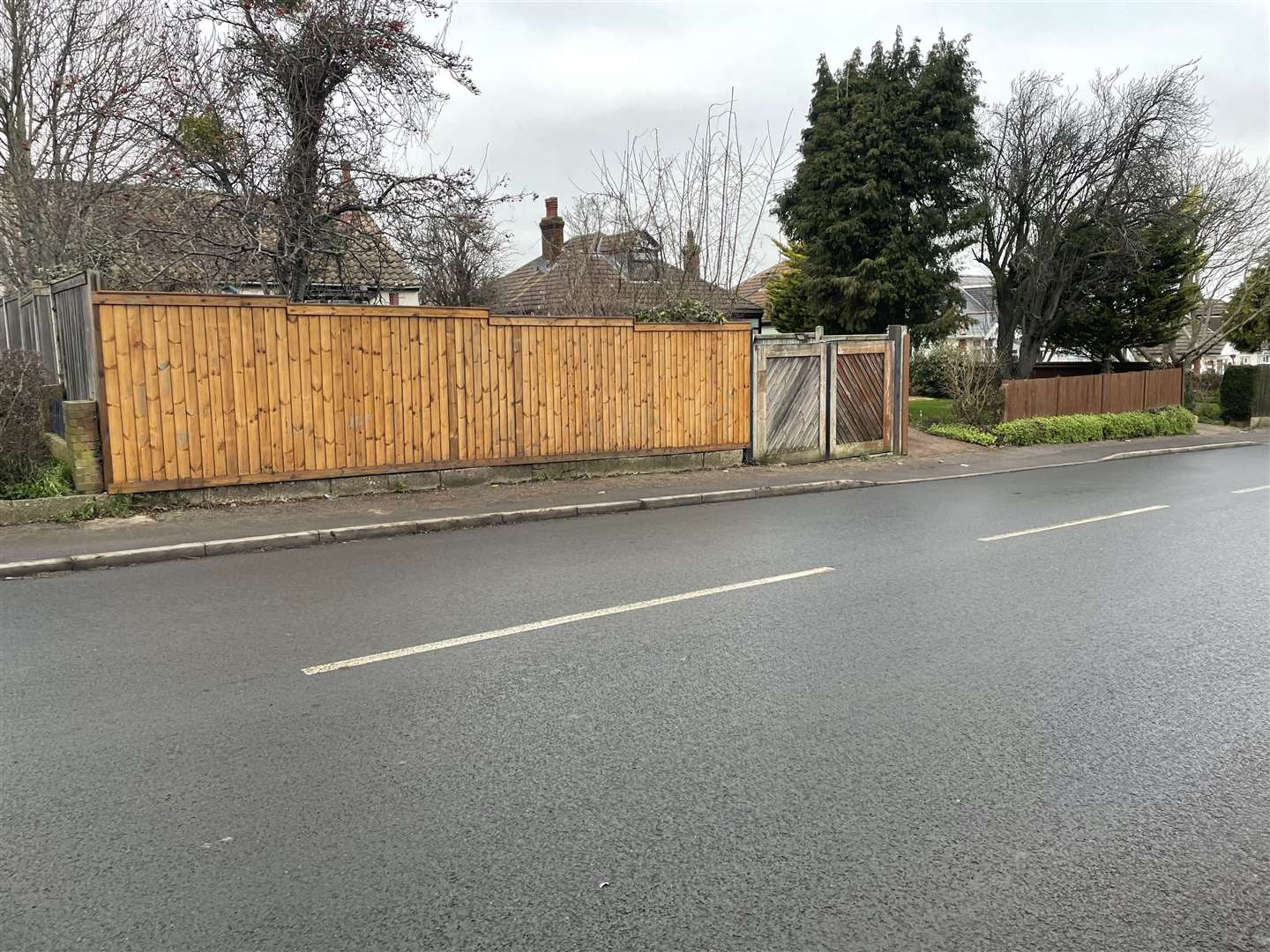 30 dogs and puppies were found at a home in Pump Lane, Rainham, after a man was found dead inside the home. Picture: Alex Langridge