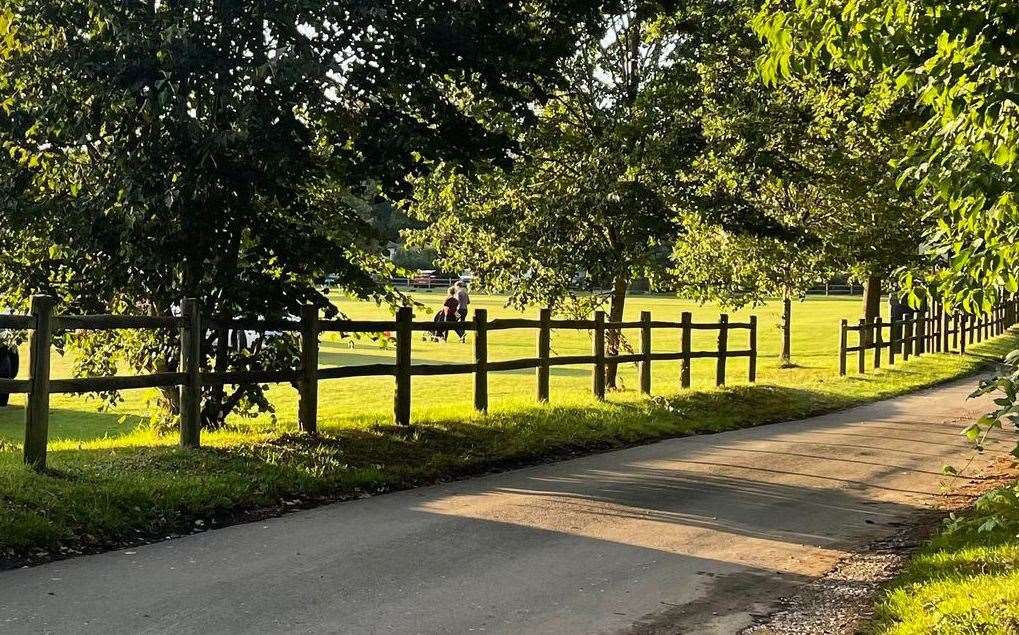 A wooden fence was broken to make way for the vehicles. Picture: Olivia Gray