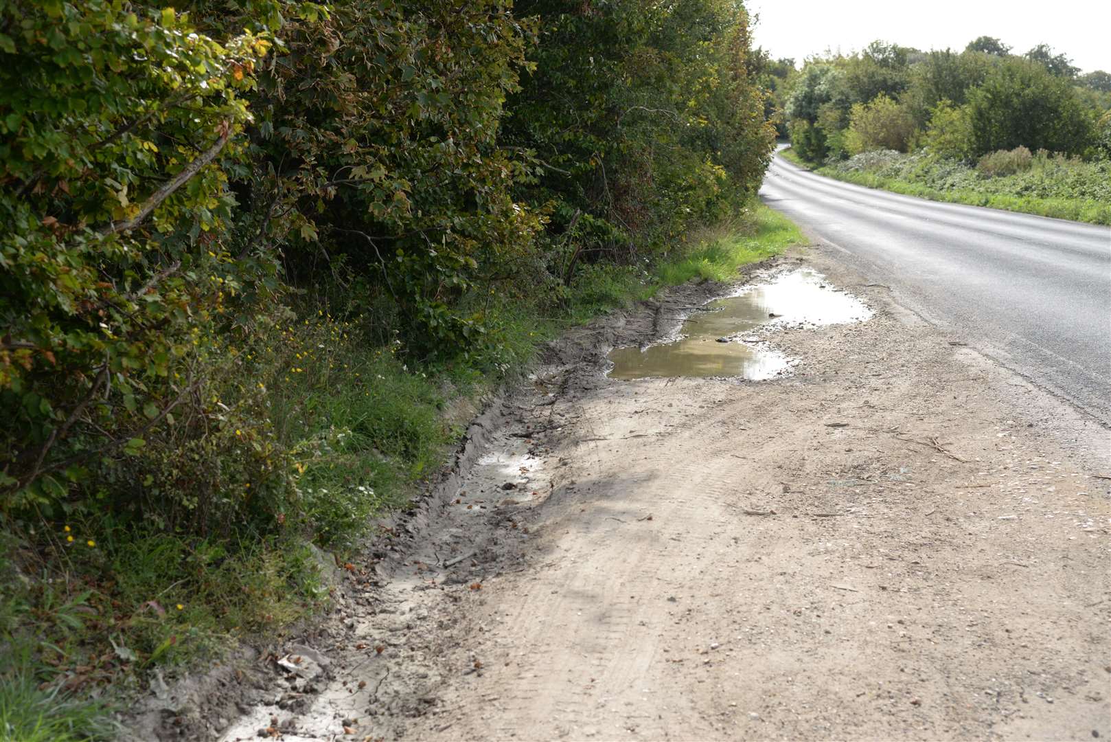 The verges and layby at the top of Bonny Bush Hill near to the Bridge and Bishopsbourne A2 junction. Picture: Chris Davey