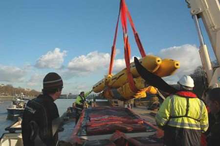 Members of the British Divers Marine Life Rescue team during the attempt to save the whale. Picture: TONY WOODLEY