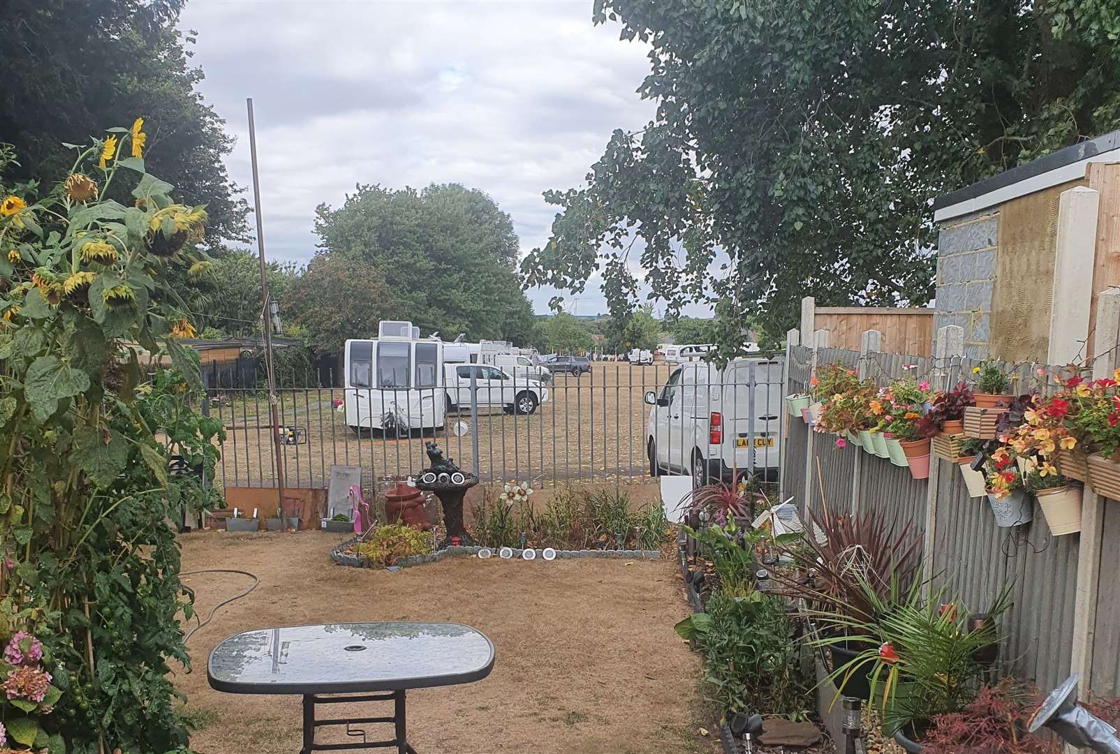 Anita is able to see the group from her garden. Picture: Anita Franks