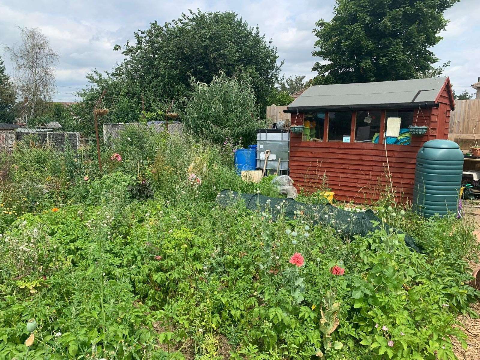 The Shepway Chariot garden is going to get a makeover