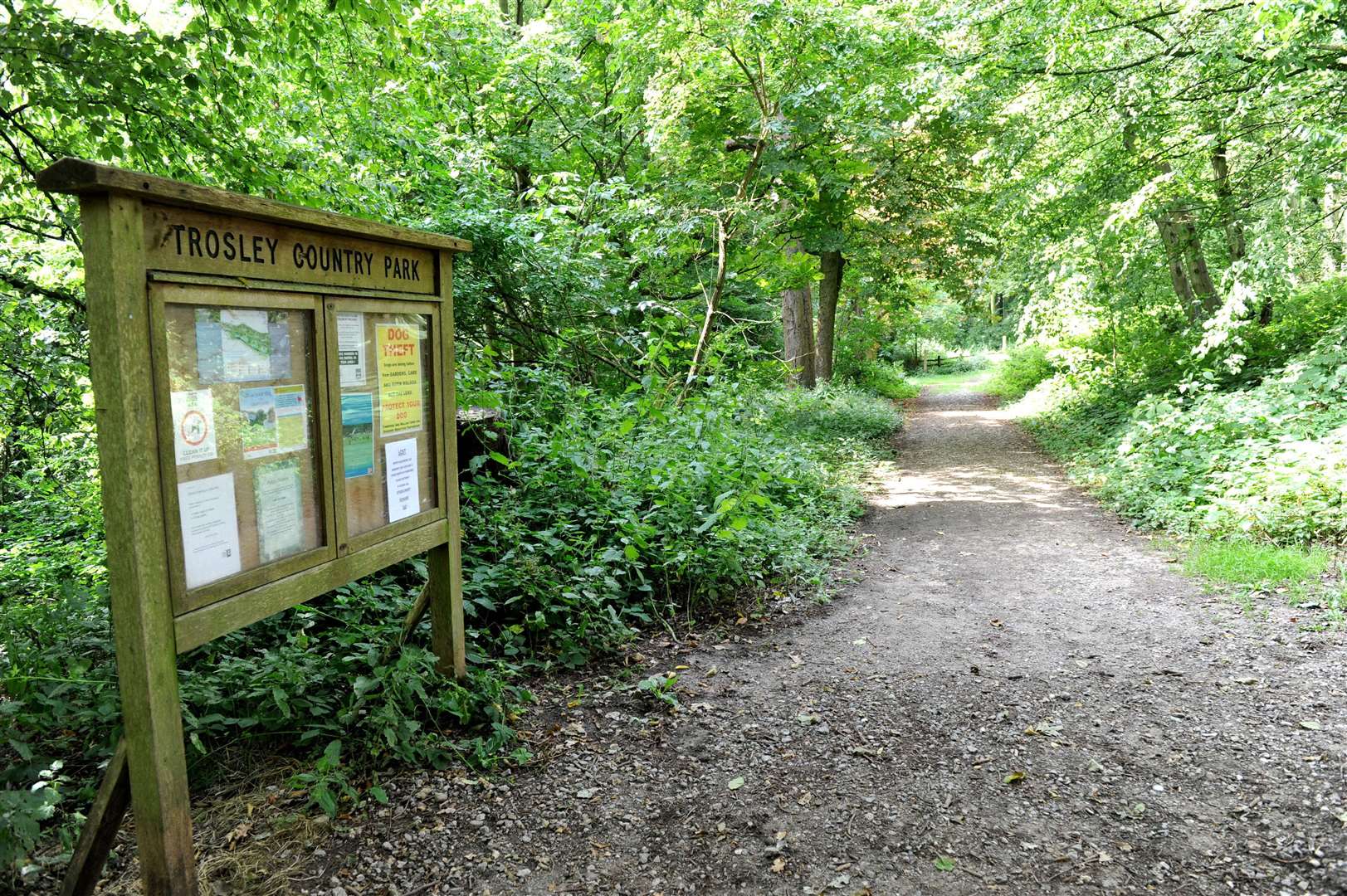 Trosley Country Park. Picture: Simon Hildrew