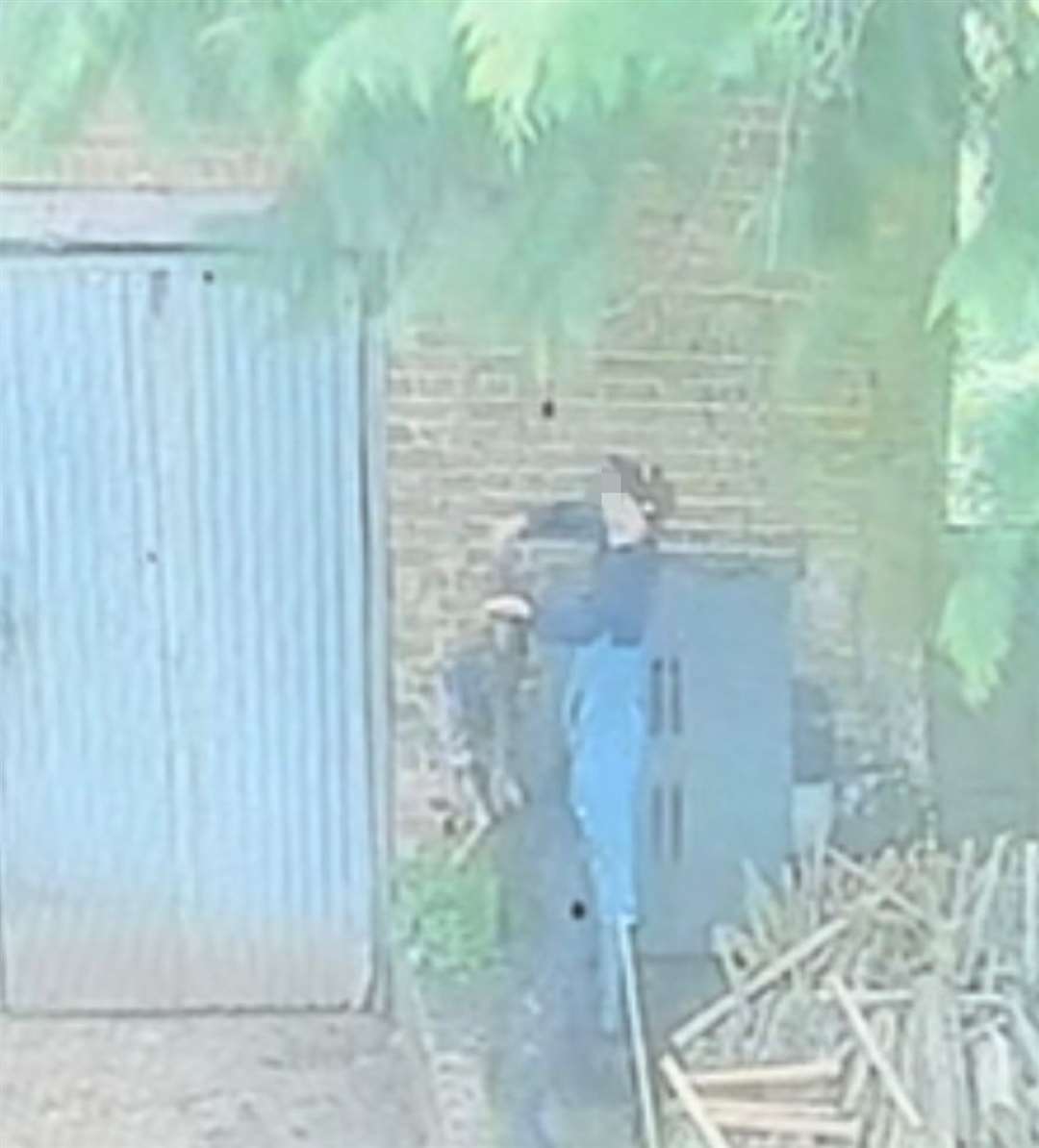 One boy is seen to hold the bird up by its feathers to show his friend on the roof.