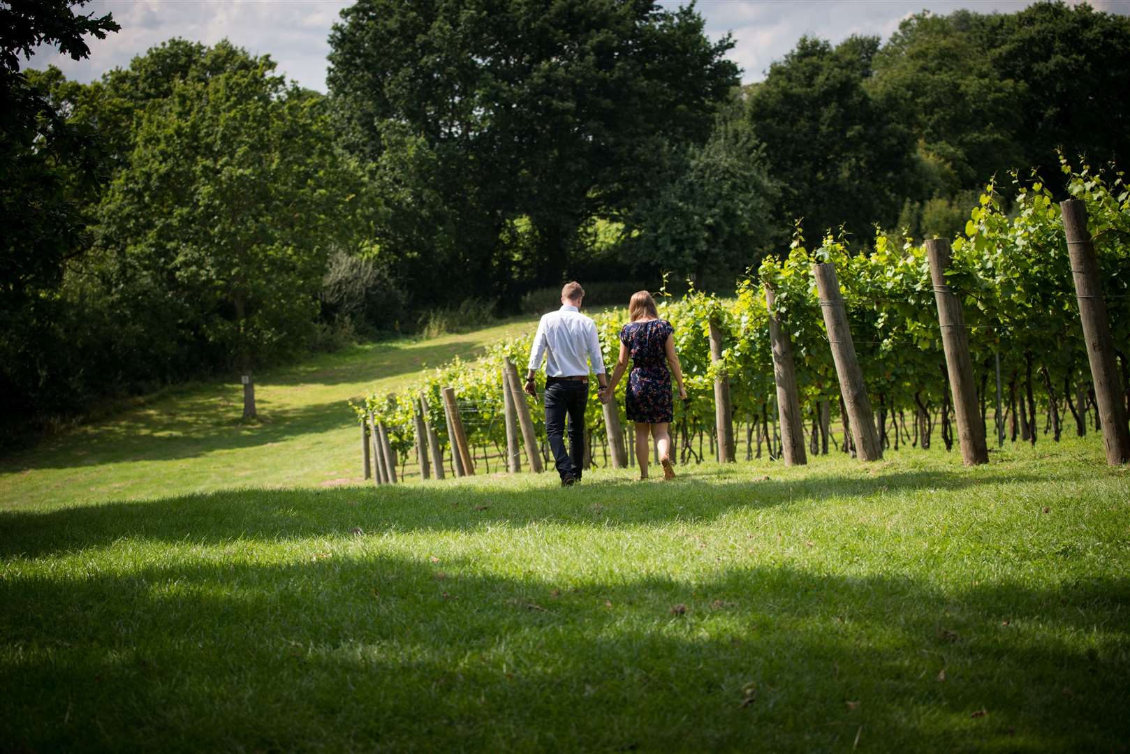 Visitors continue to flock to its vineyard