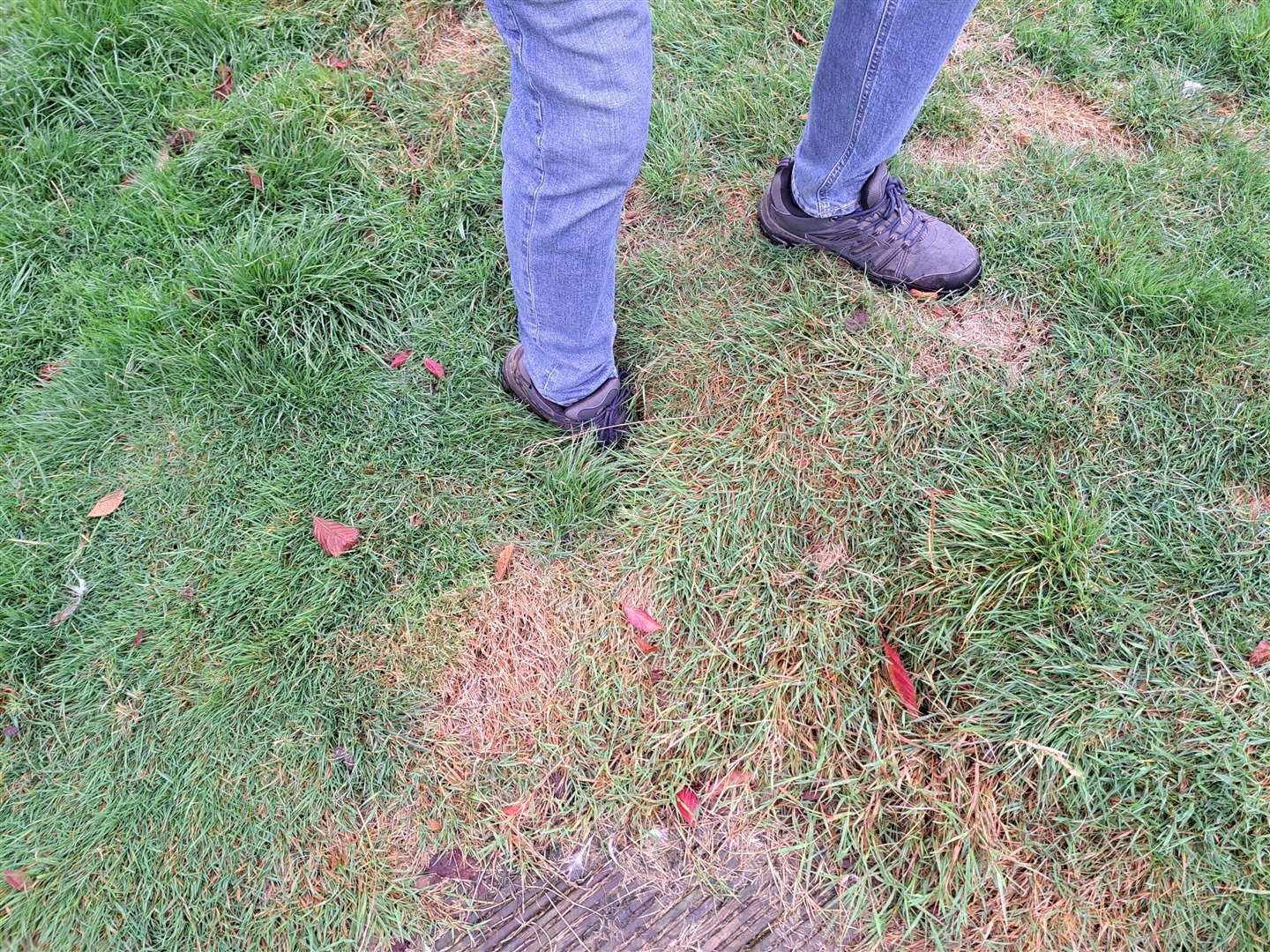 After two years, grass has grown over the crack - but it is still there