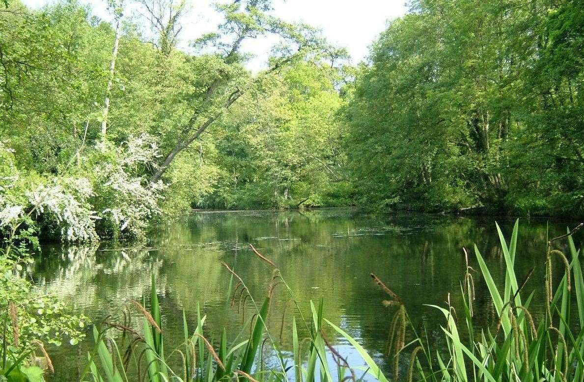 Brockhill Country Park in Hythe. Picture: Kent County Council