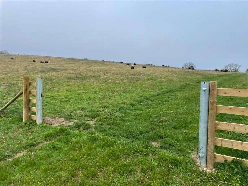 Nashenden Down nature reserve, near Rochester, was targeted by thieves