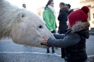 Paula the polar bear (1520251)