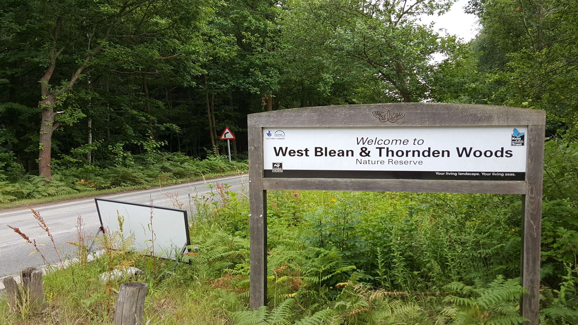 Ambulance crews were called to Thornden Woods