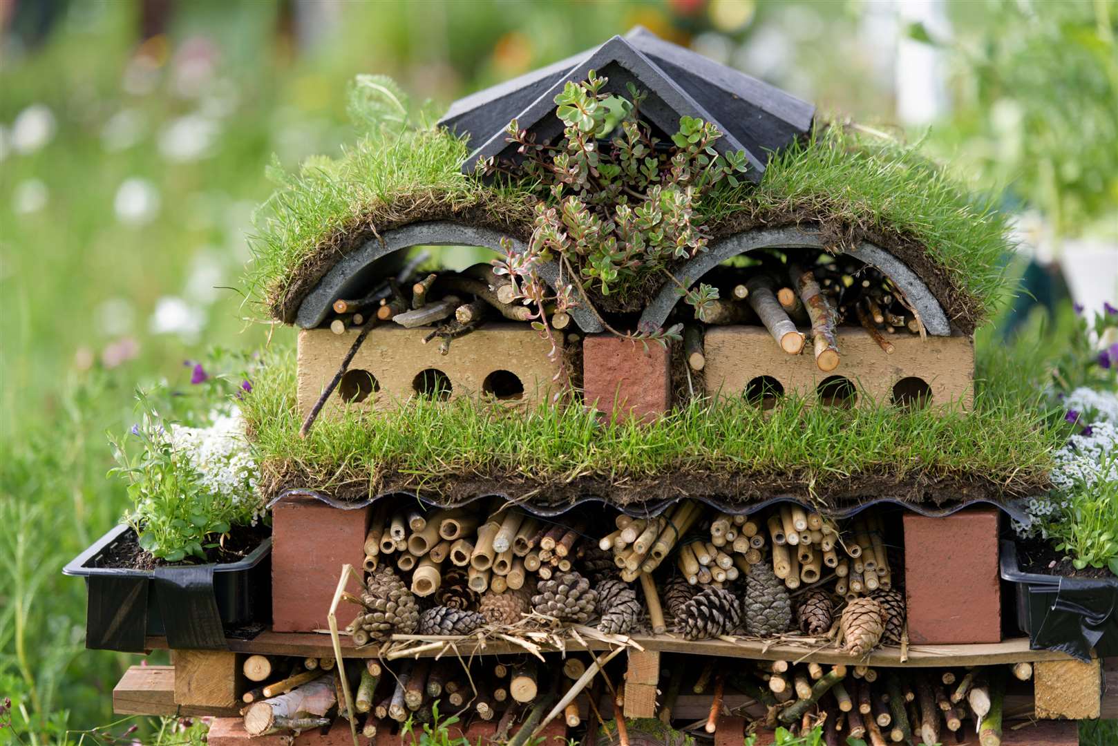 Bug hotels can help connect with nature (Georgi Mabee/RHS)