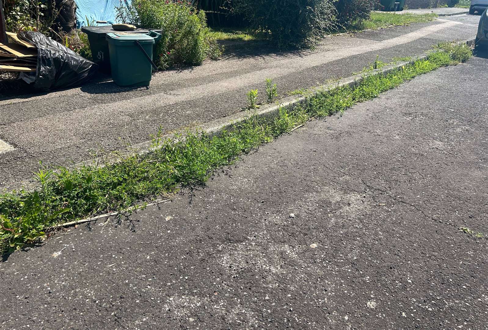 Weeds on the road in Grassmere, St Mary's Bay