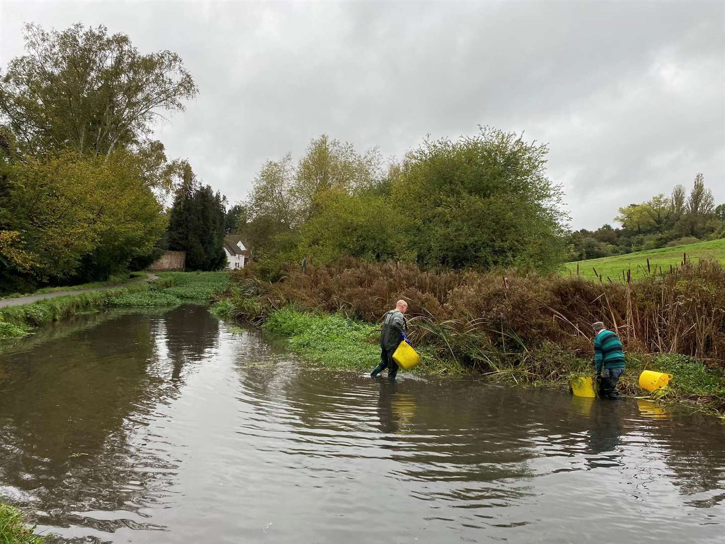 A number of volunteers took part in the clean up. Picture: Loose Parish Council