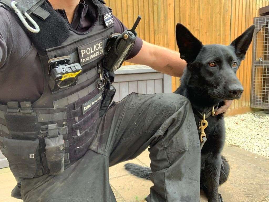 PD Elsa