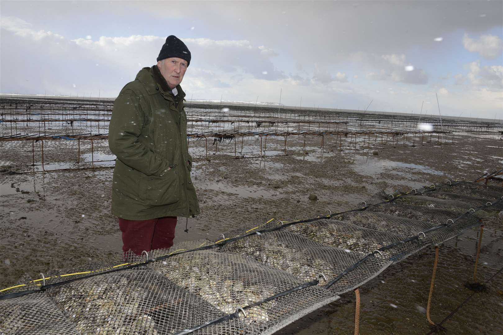 Cllr Ashley Clark has been a vocal critic of the farm over the years. Picture: Paul Amos