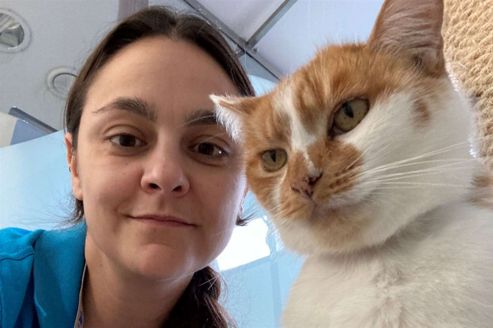 Feline behaviour and training manager JoAnna Puzzo with Battersea cat Kipp, a domestic short-hair. Picture: Battersea