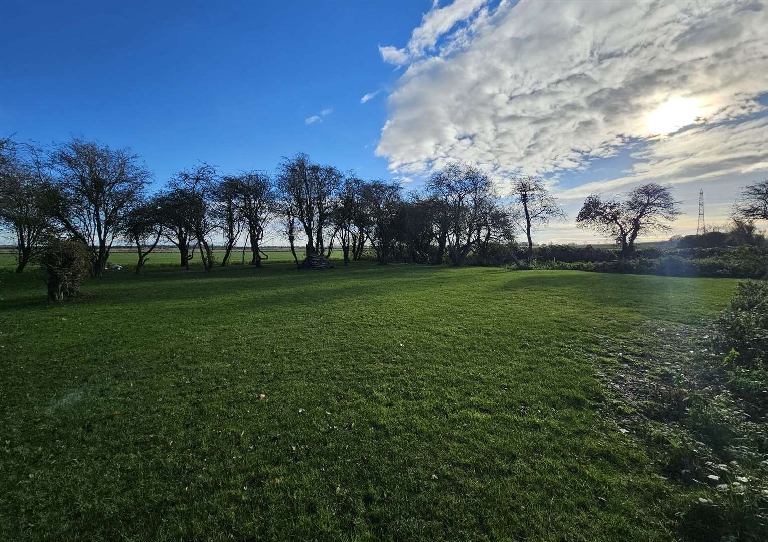 Where the new pods at Chitty Chitty Glamping in Chislet would go. Picture: Becky Young