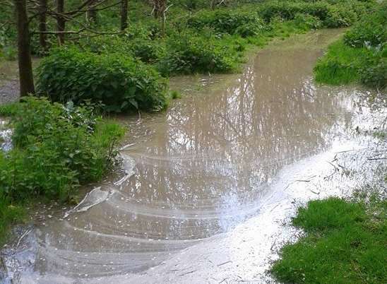 The raw sewage that has flooded the green area