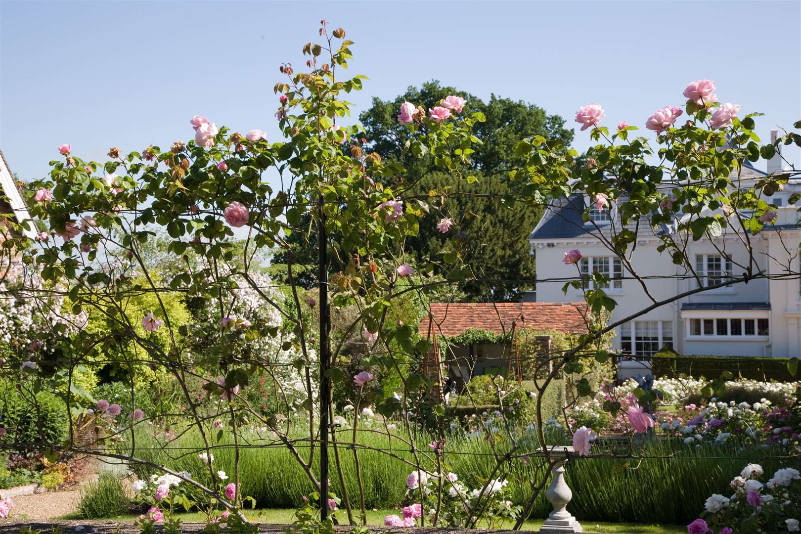 Chelsea Flower Show Gold Medal winner Jo Thompson worked on the gardens at Ladham House in Tunbridge Wells. Picture: Helen Harrison