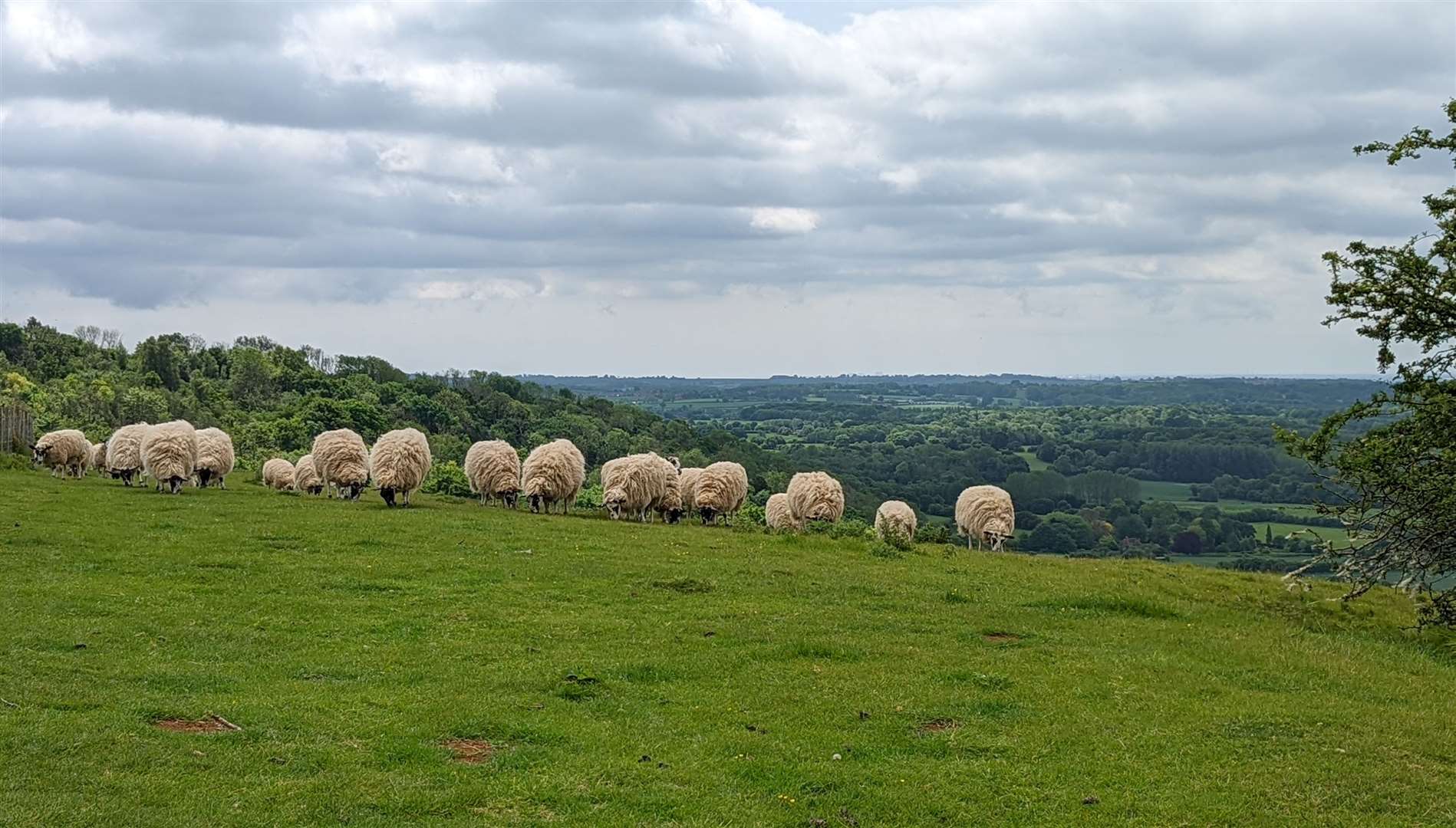 Views from atop the Downs above Wye