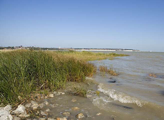 Pegwell Bay