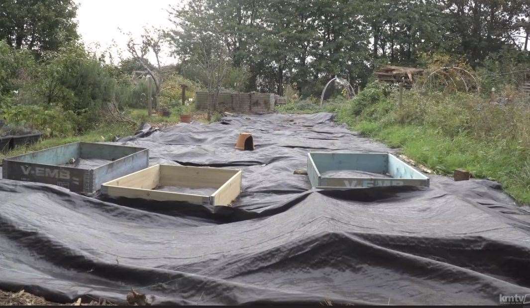 Claire’s allotment space