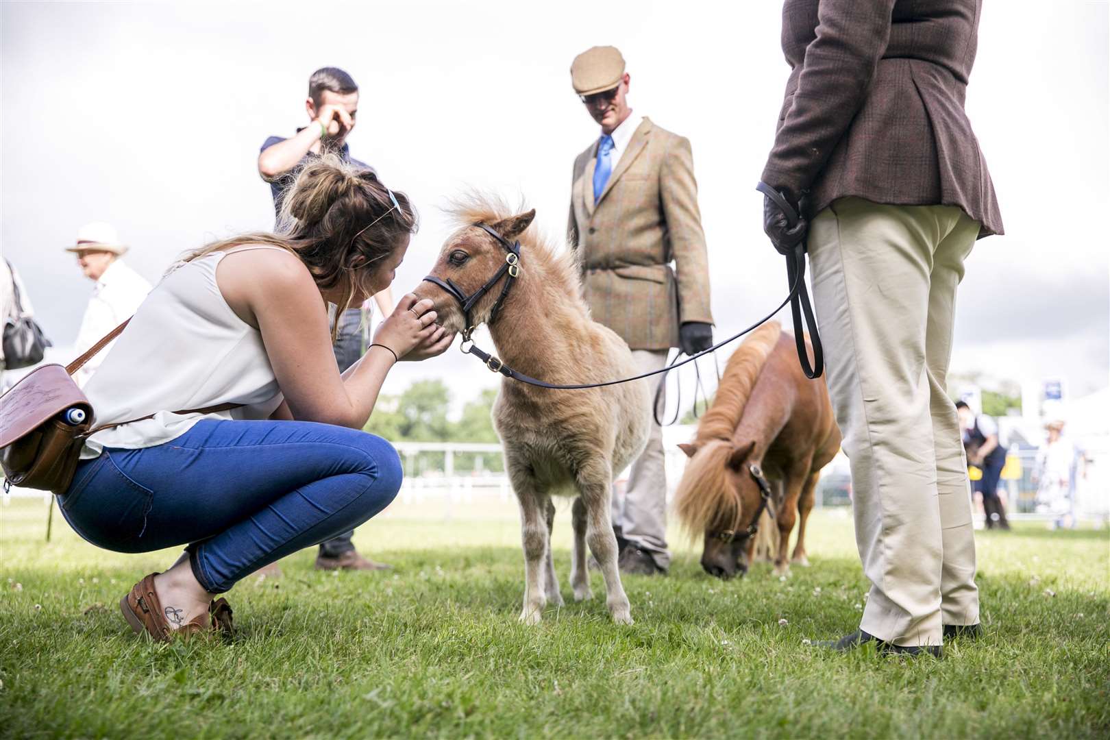 Learn about the livestock from expert exhibitors. Picture: Thomas Alexander