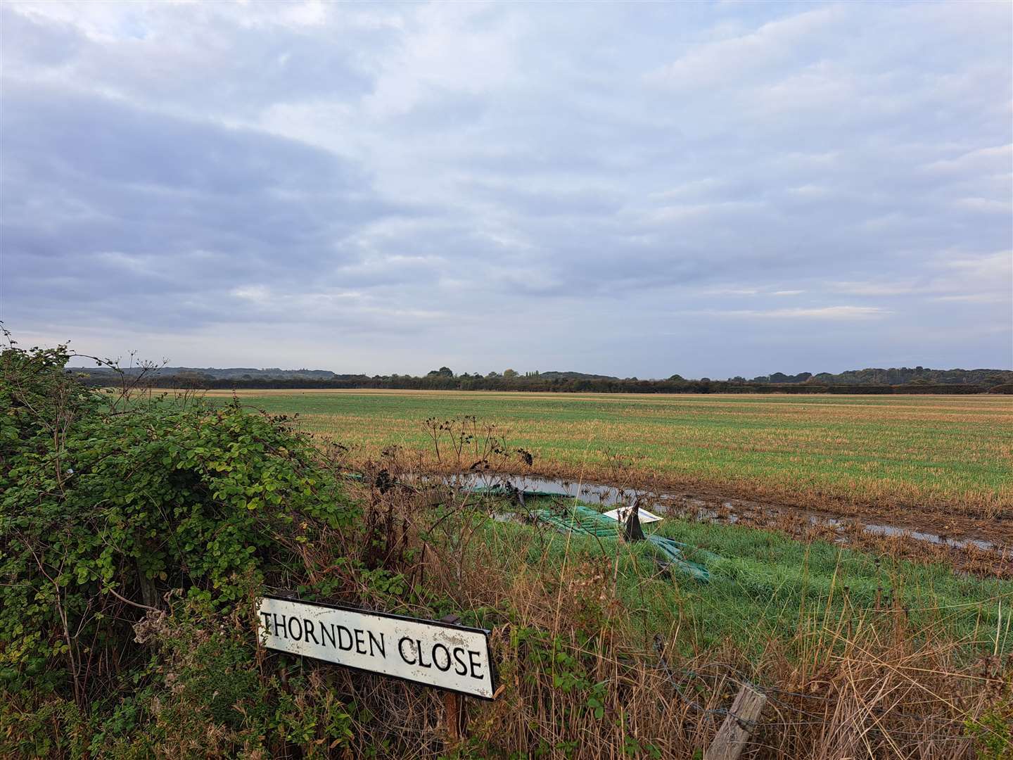 Where the 150 homes and secondary school are planned to go