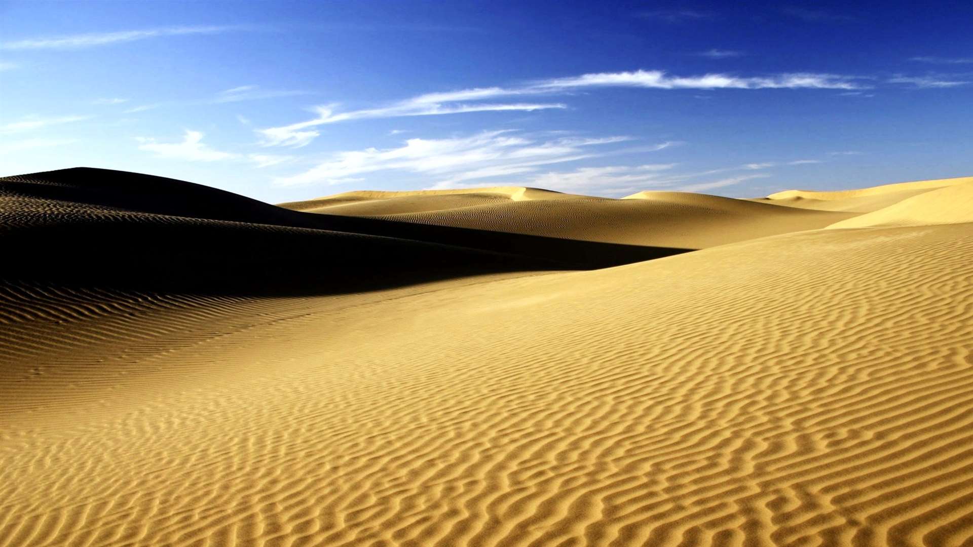 The Sahara Desert