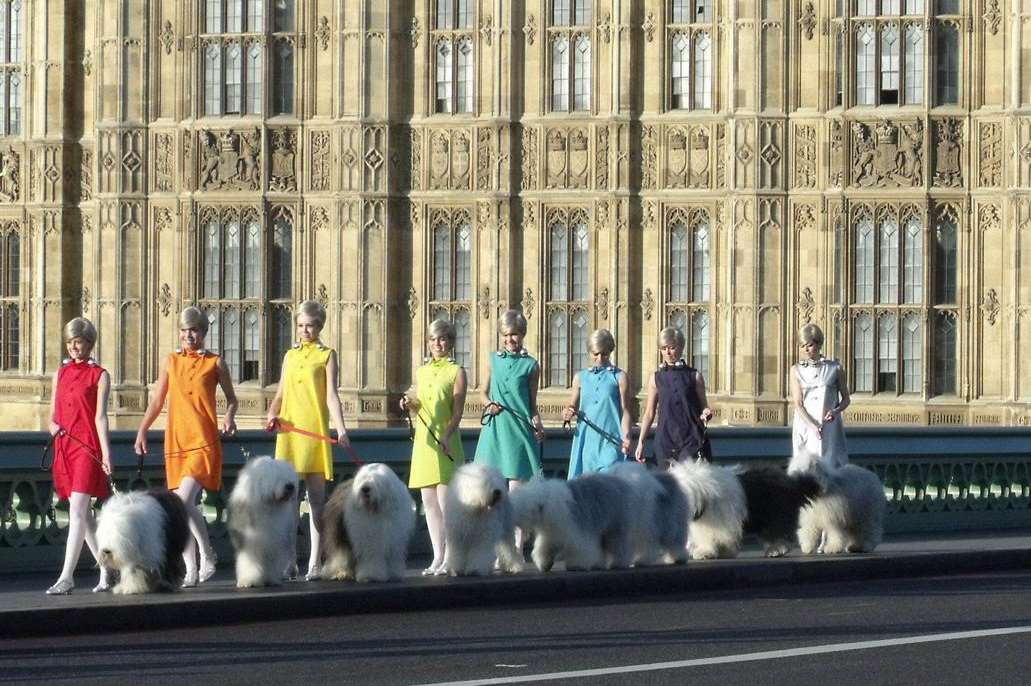 Spud on a job outside the Houses of Parliament