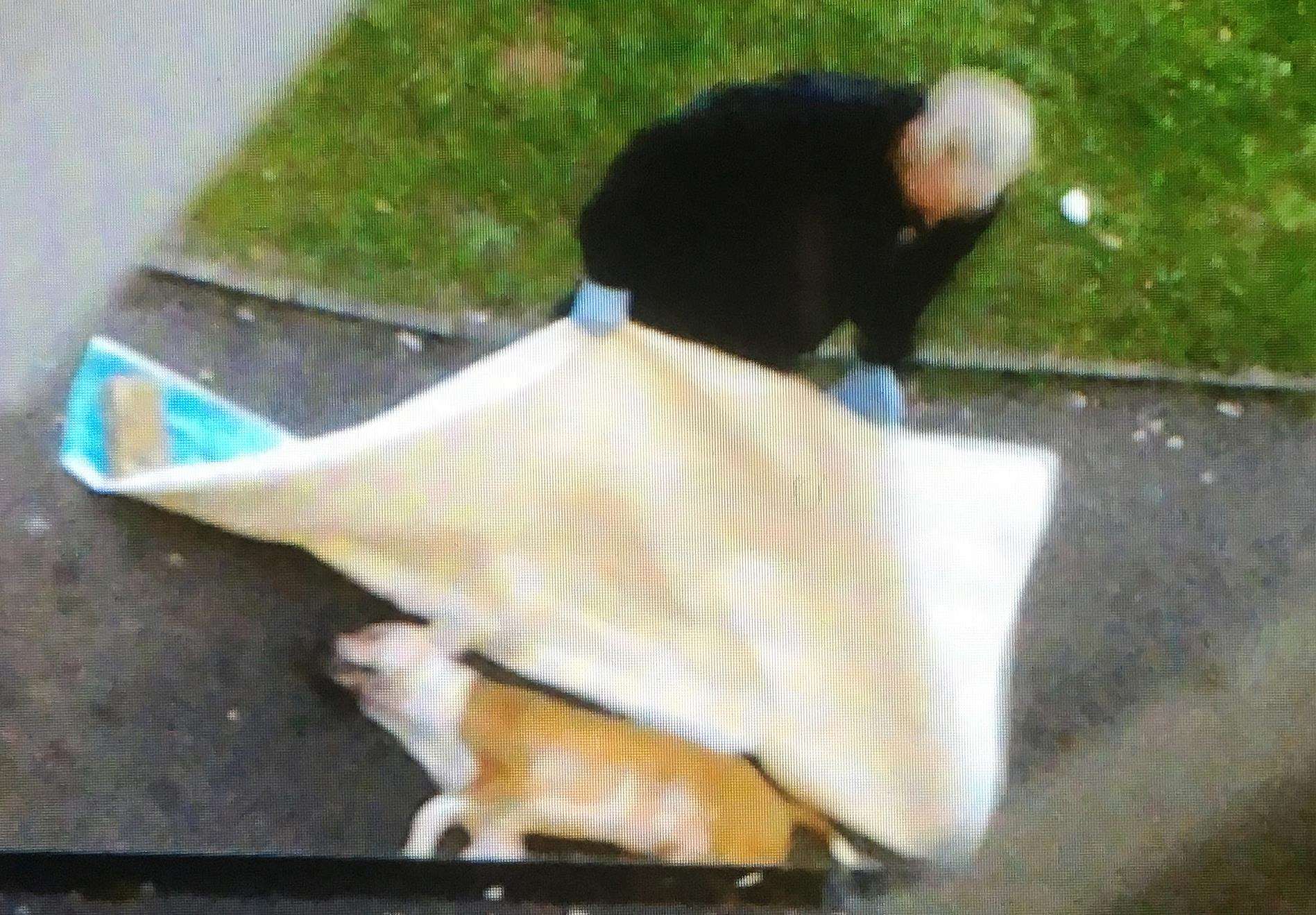 The scene as police covered up the pitbull cross in Holcombe Road. Picture: Steve Finn