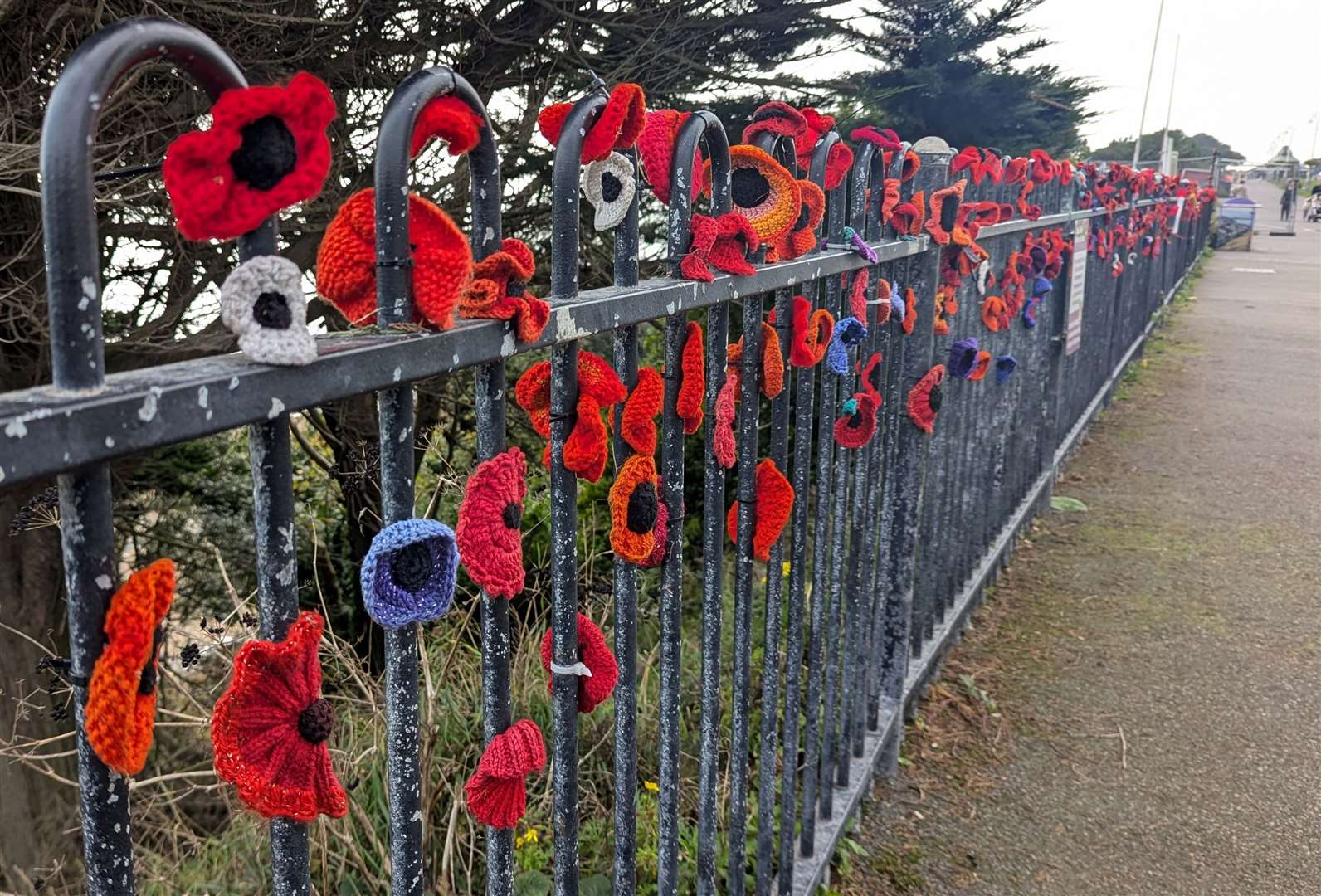 An elderly vandal removed hundreds of knitted and crocheted poppies along The Leas in Folkestone this year