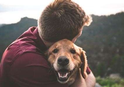 Owners concerned about a pet who has touched a caterpillar should speak to their vet. Stock image.