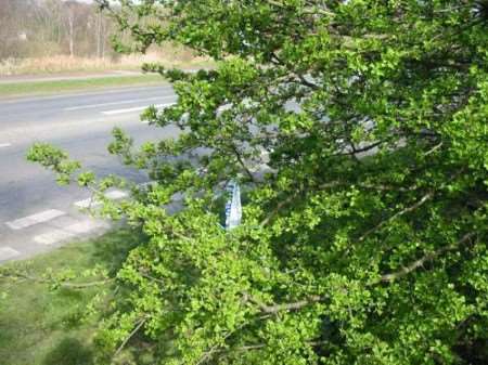 Police taped off the area where the body was discovered