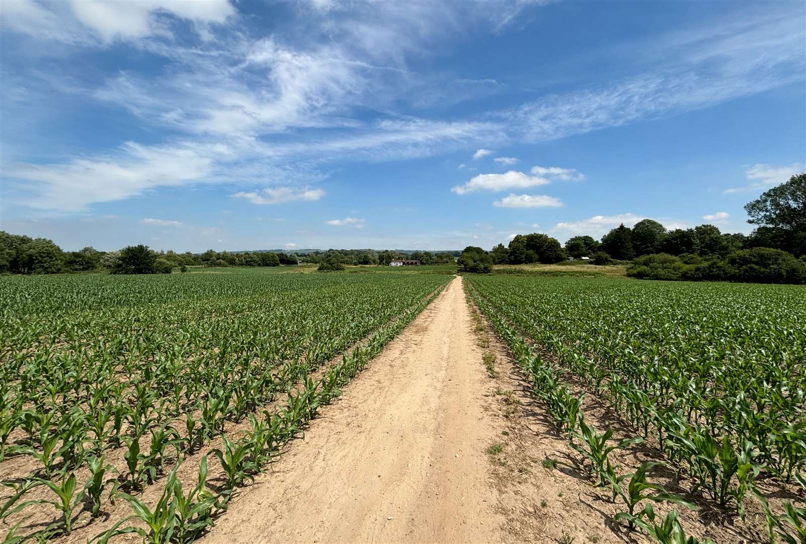 If approved, Kingsland Green would be built on a field off the A2070 popular with walkers