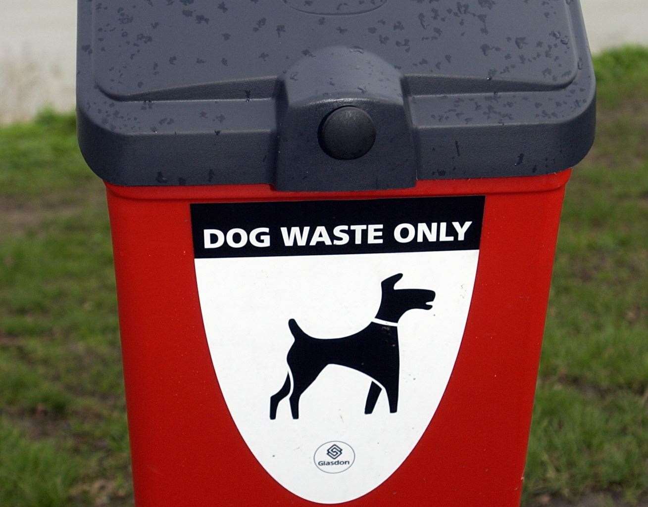 Residents are up in arms over the amount of dog mess on the street