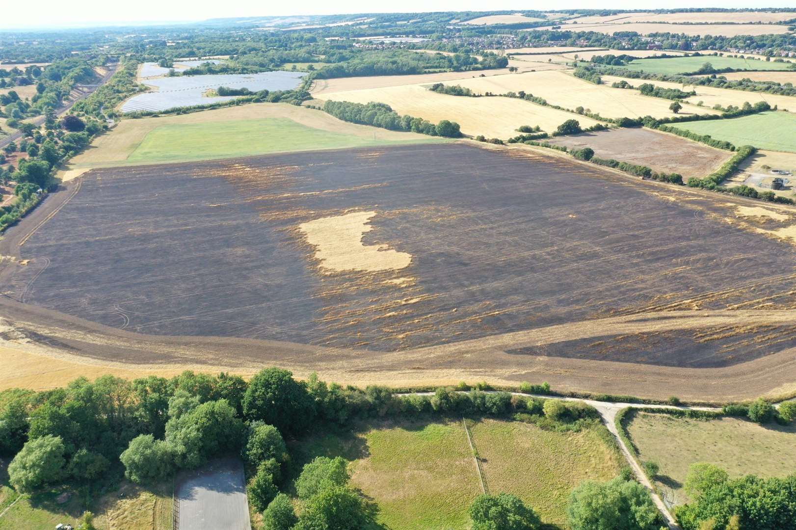 Landowner Andy Barr says around 50 acres have been destroyed. Picture: Kiran Reardon