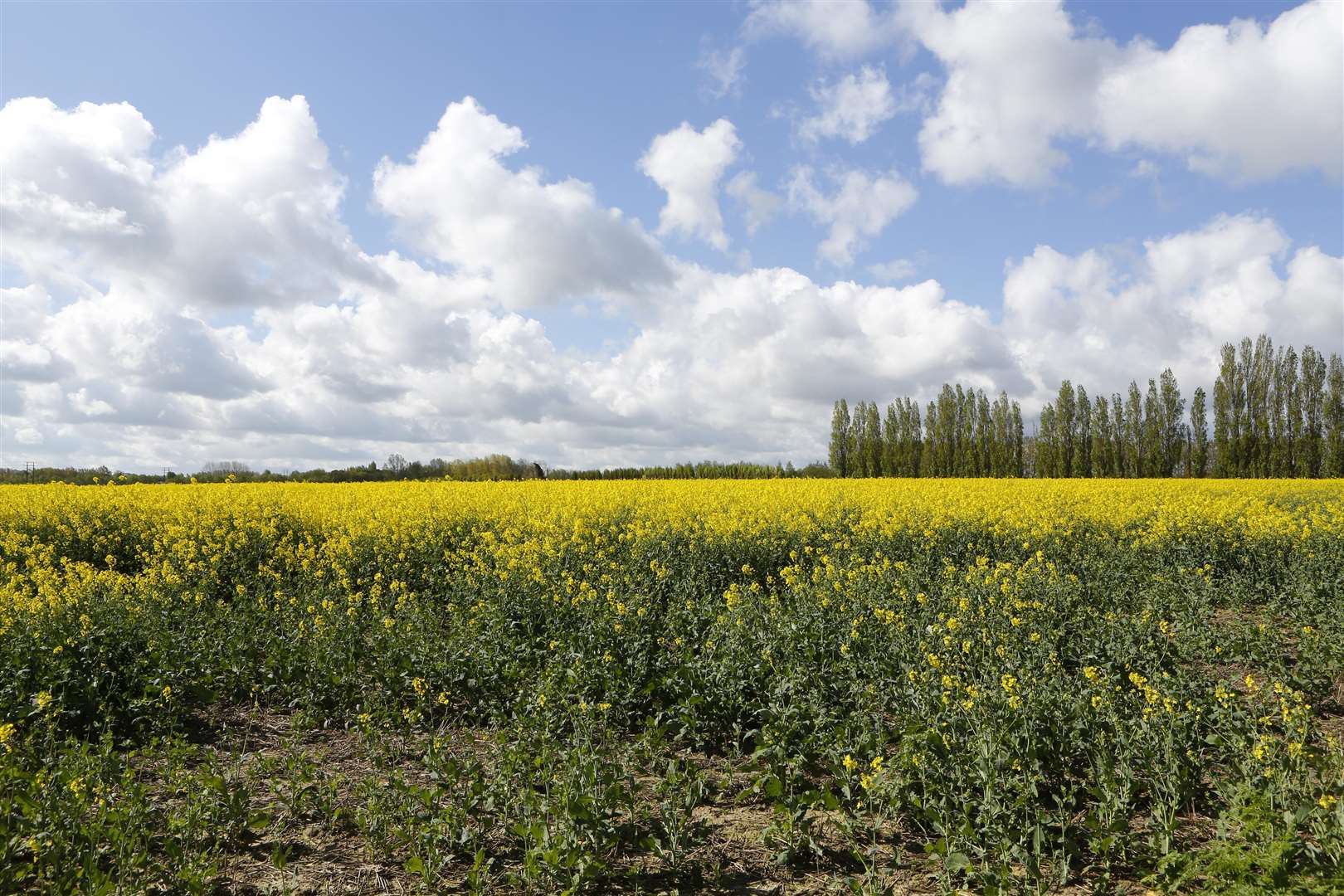 The Duchy of Cornwall is putting forward a site for a potential garden village