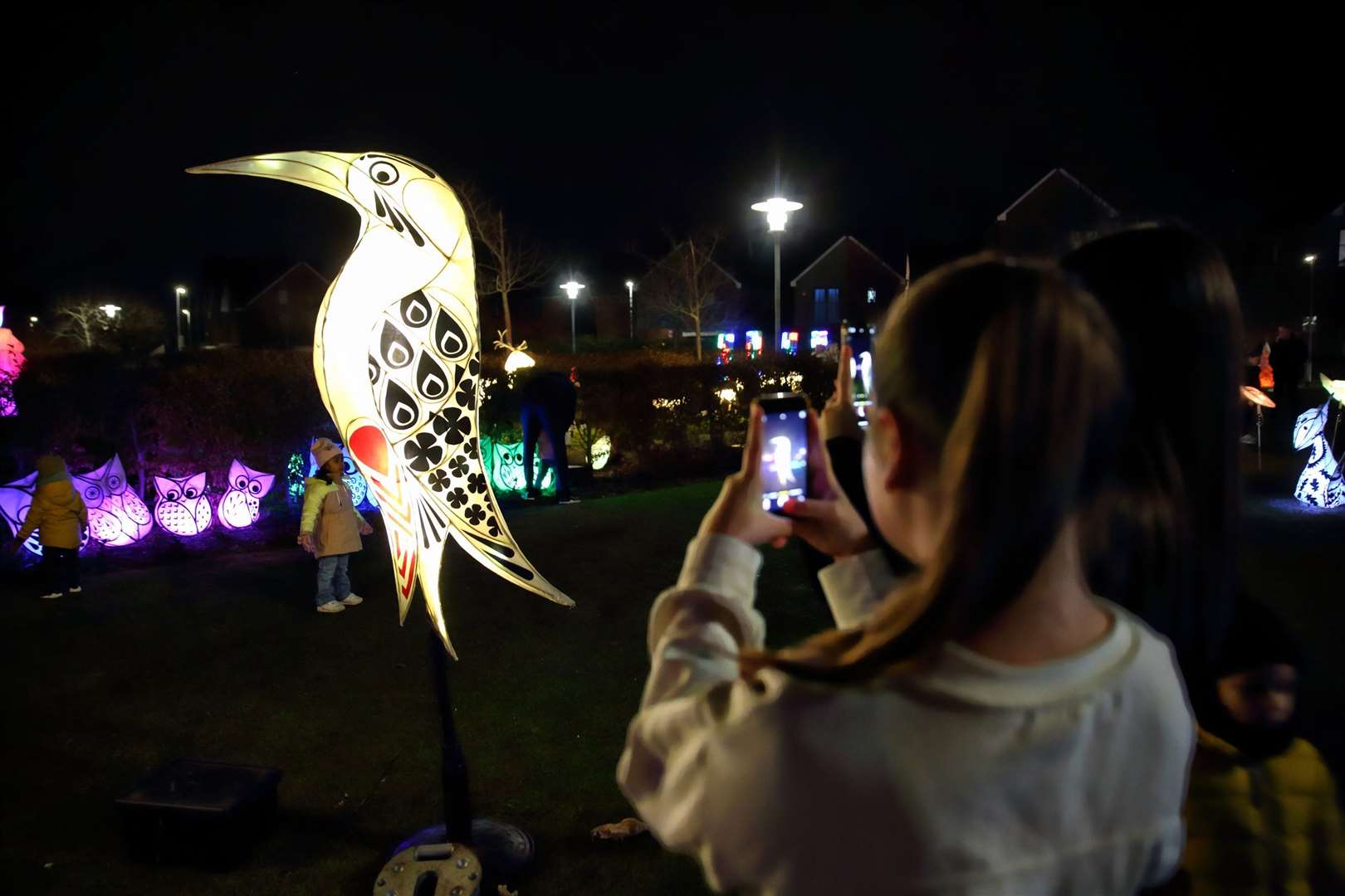 The park was lit up with impressive light installations. Picture: Cohesion Plus