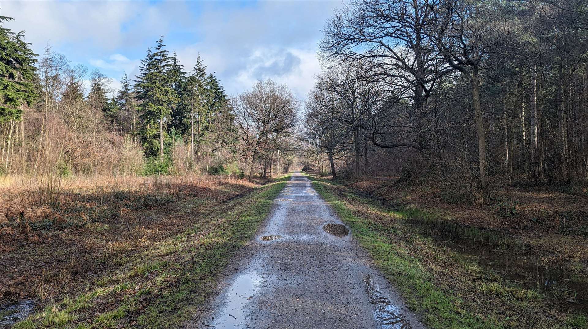 The Crab and Winkle Way passes through Clowes Wood