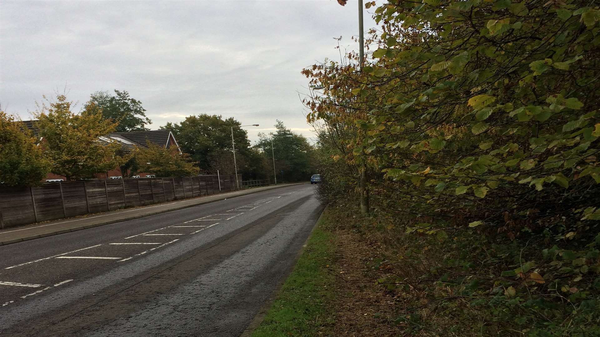 Hedges by the crossing