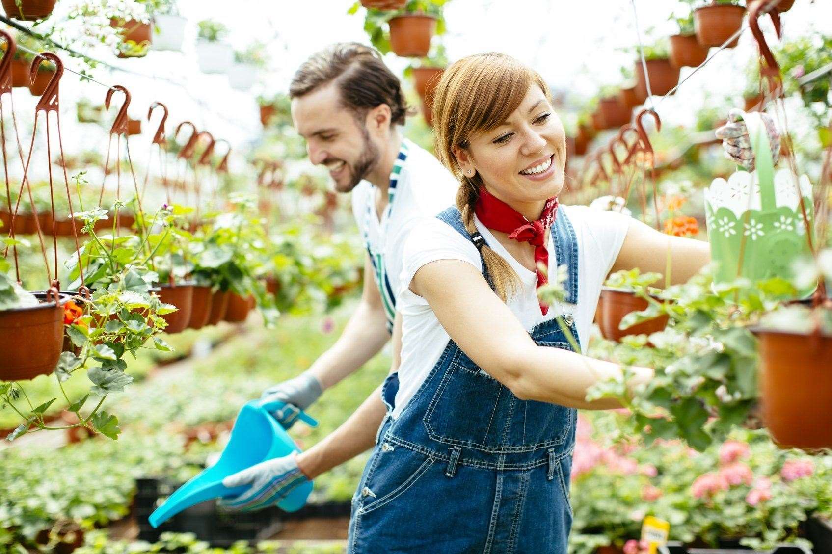 Garden centre staff are back at work