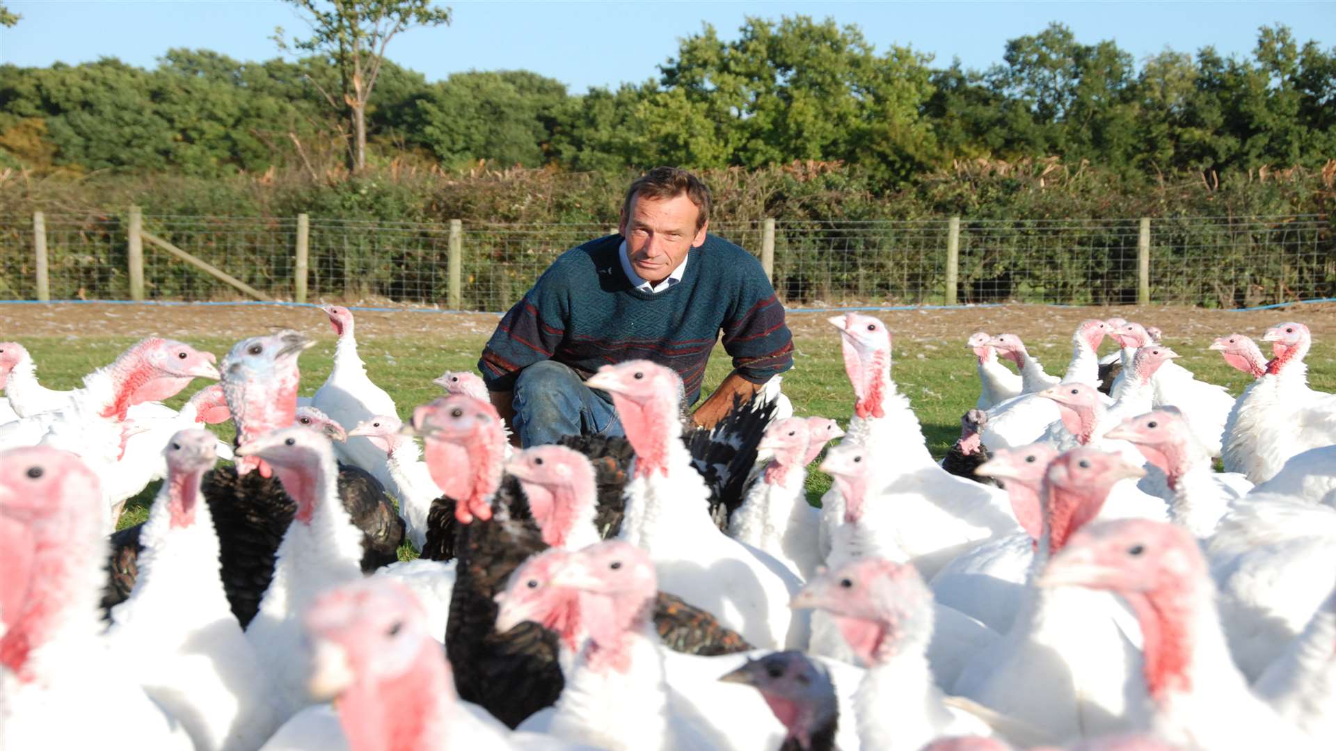 John Howe with his turkeys