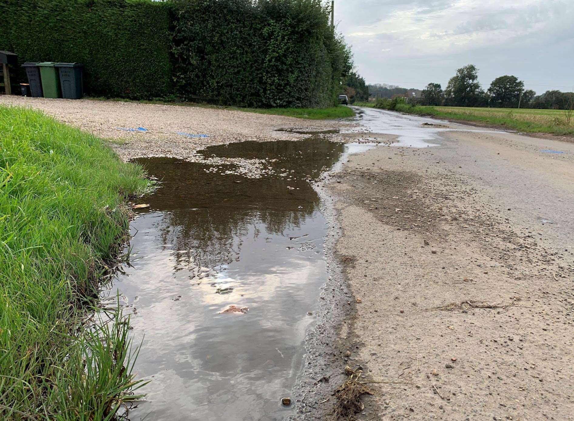 A family in Shottenden have been living in misery after a four-month leak